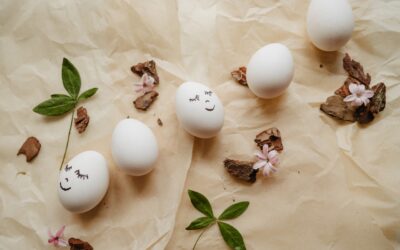 Zdrowa dieta na co dzień – dlaczego warto wybierać jajka z dobrego źródła?